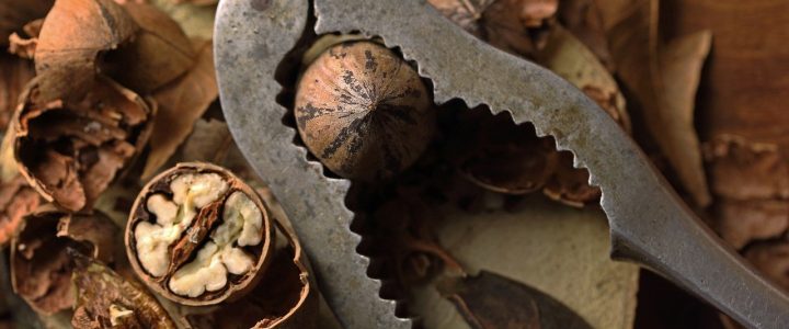 entdecken sie die vielfalt der nüsse – gesunde snacks voller geschmack, perfekt für jede gelegenheit. erfahren sie mehr über ihre vorteile und verwendungsmöglichkeiten in ihrer ernährung.