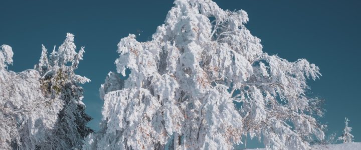 erleben sie die verzaubernde wintermagie mit schneebedeckten landschaften, funkelnden lichtern und festlichen aktivitäten, die die kalte jahreszeit zum leben erwecken. entdecken sie die schönsten winterdestinationen und genießen sie unvergessliche momente im herzen des winters.