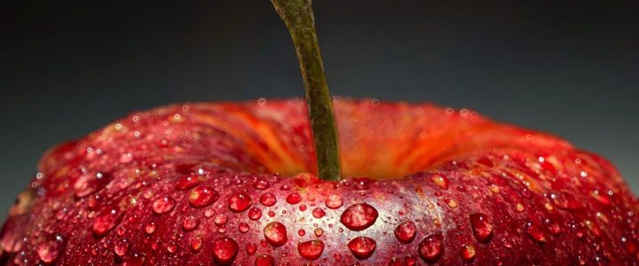 entdecken sie erfrischende lebensmittel, die nicht nur köstlich sind, sondern auch ihre sinne beleben. von saftigen früchten bis hin zu leichten snacks – finden sie in unserer auswahl perfekte sommerspeisen, die jedem gericht einen frischen twist verleihen.