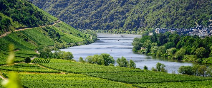 entdecken sie die schönheit der moselle, eine malerische region deutschlands, bekannt für ihre weinberge, charmanten dörfer und beeindruckenden flusslandschaften. genießen sie genussmomente bei weinproben, wanderungen und kulturellen erlebnissen entlang der mosel.