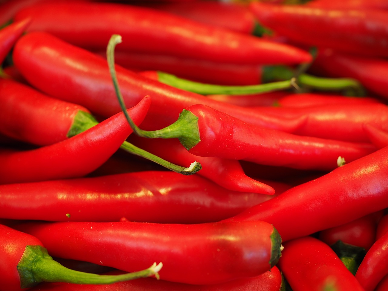 entdecken sie die vielfältigen geschmäcker und aromen von chili! von scharfen sorten bis zu milden varianten – erfahren sie alles über die verwendung von chili in der küche, gesundheitliche vorteile und köstliche rezepte.