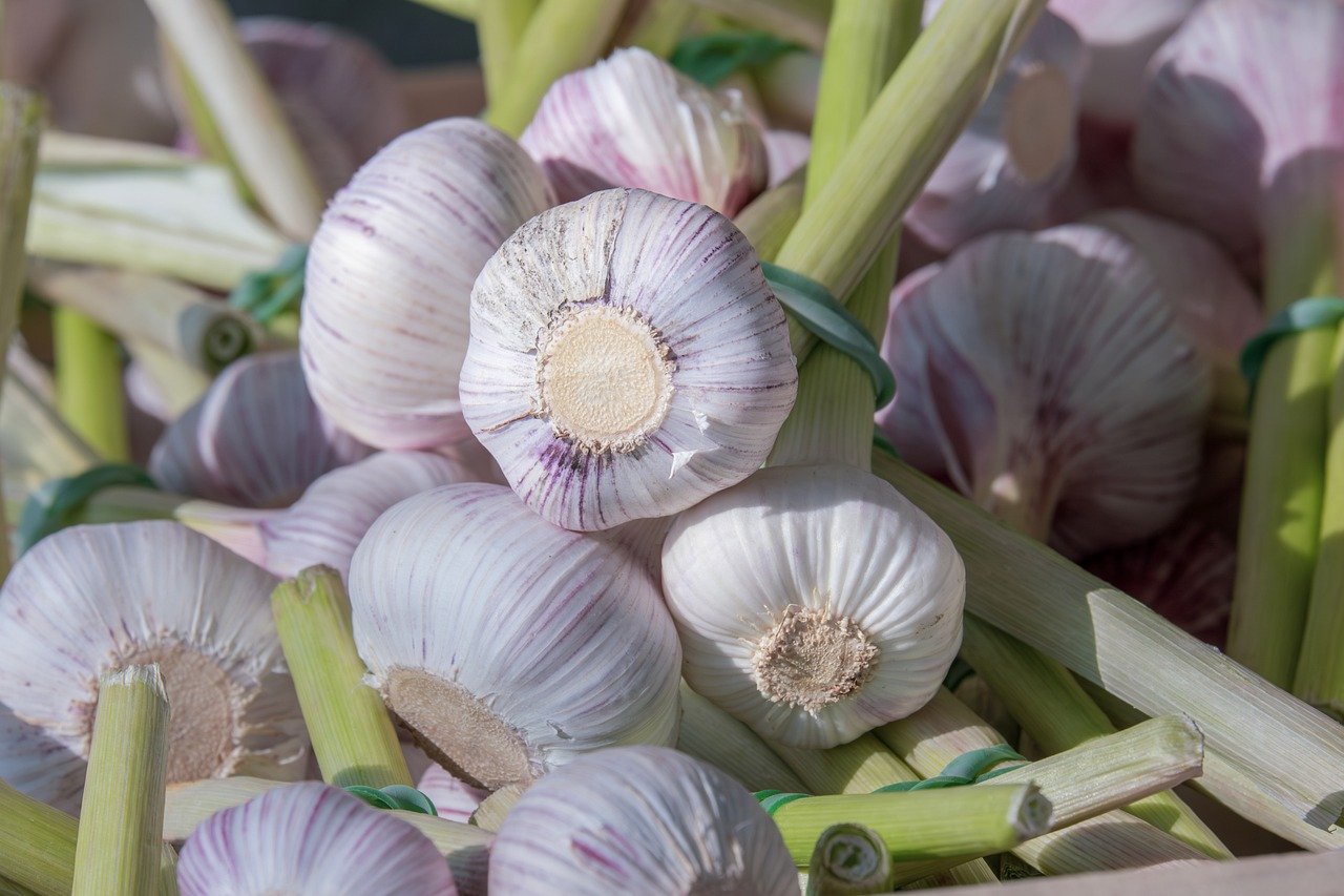 entdecken sie die faszinierende welt der kulinarischen genüsse! von traditionellen rezepten bis zu kreativen kochtechniken - lassen sie sich inspirieren und verwöhnen sie ihren gaumen mit exquisiten aromen und vielfältigen speisen.