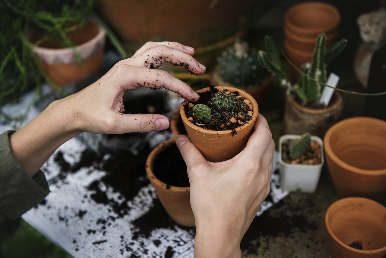 entdecken sie die freude am gärtnern! tipps und tricks für einen blühenden garten, von der pflanzenauswahl bis zur pflege. lassen sie ihrer kreativität freien lauf und verwandeln sie ihren außenbereich in eine grüne oase.