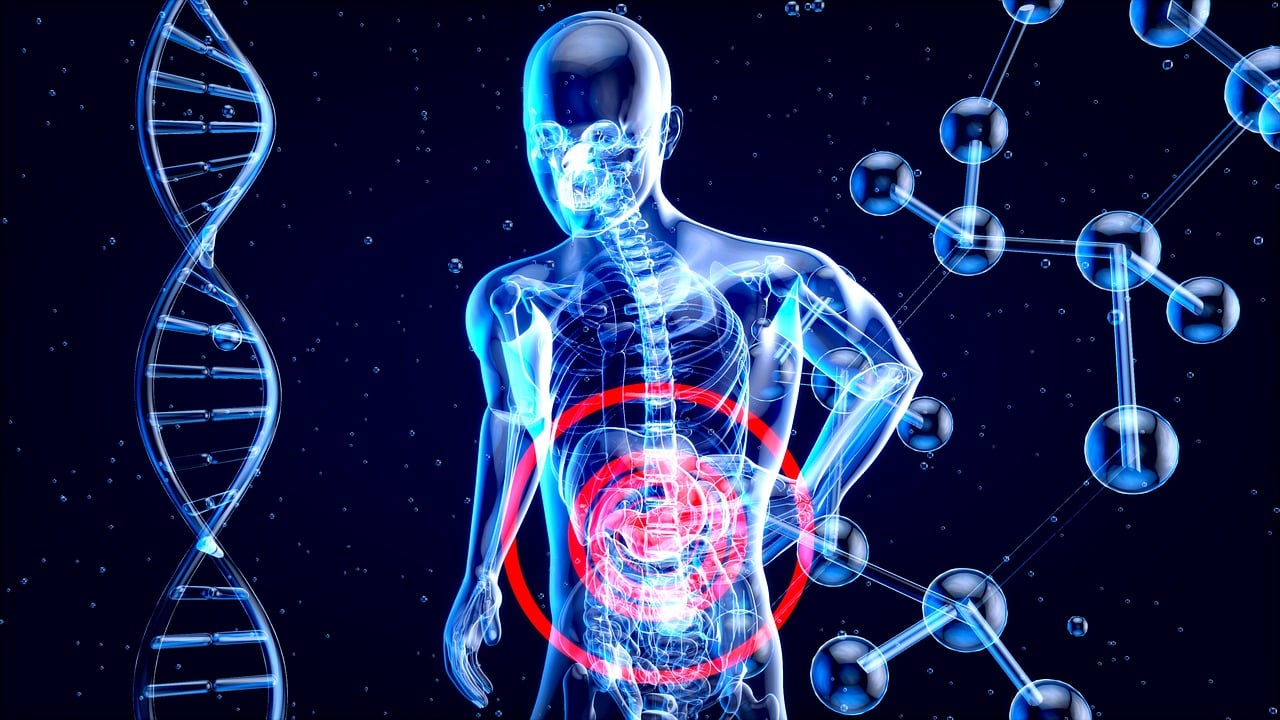 entdecken sie die gesundheit und das wohlbefinden, die ein ausgewogenes mikrobiom im darm bieten kann. lernen sie, wie sie ihre darmflora optimieren können, um das immunsystem zu stärken und die verdauung zu verbessern.