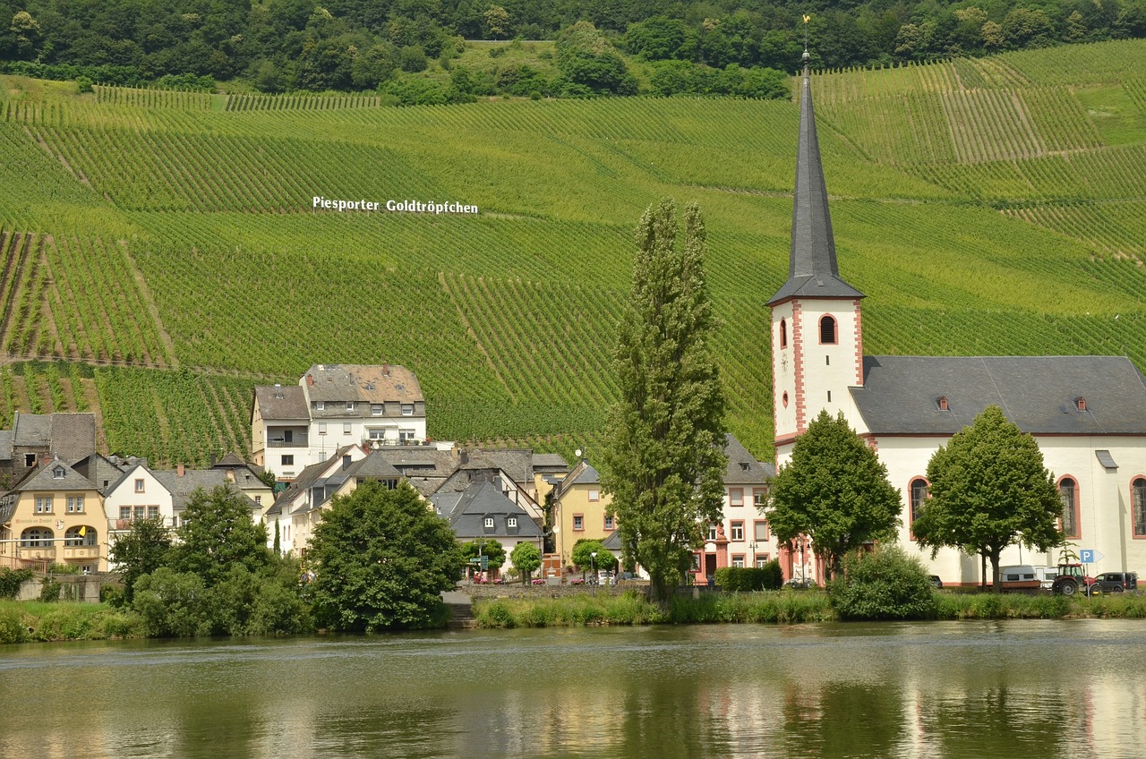 entdecken sie die atemberaubende moselregion mit ihren schönen weinbergen, malerischen dörfern und der faszinierenden geschichte. ideal für weinfeste, bootsfahrten und kulturelle erlebnisse!