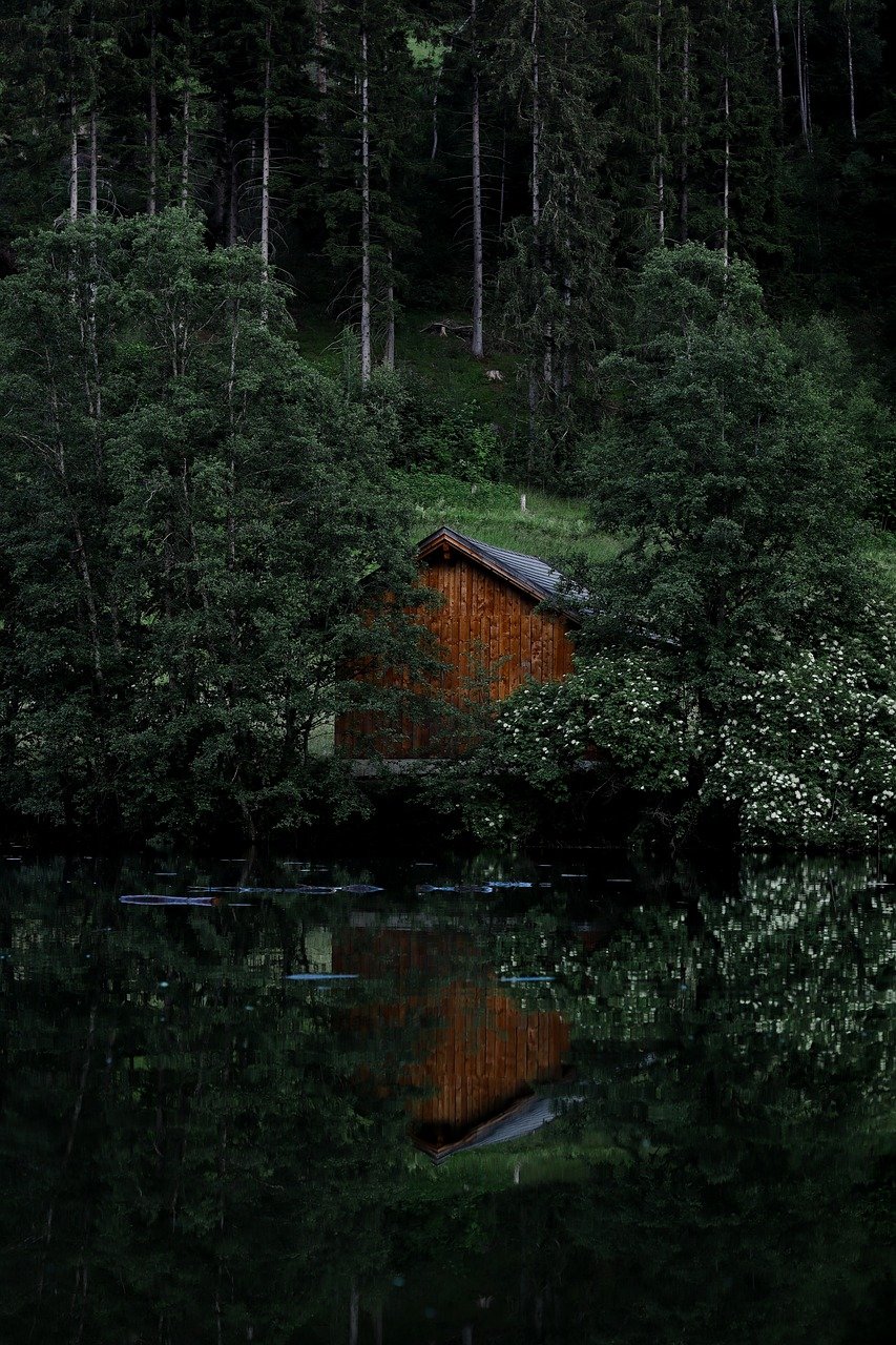 entdecken sie die schönheit der natur mit faszinierenden landschaften, vielfältiger flora und fauna sowie atemberaubenden erlebnissen im freien. lassen sie sich von der faszination der natürlichen welt inspirieren!