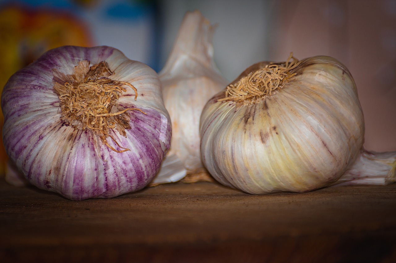 entdecken sie die vorteile des vegetarismus: leckere rezepte, gesunde ernährungstipps und die positiven auswirkungen auf umwelt und tierwohl. werden sie teil der vegetarischen bewegung!