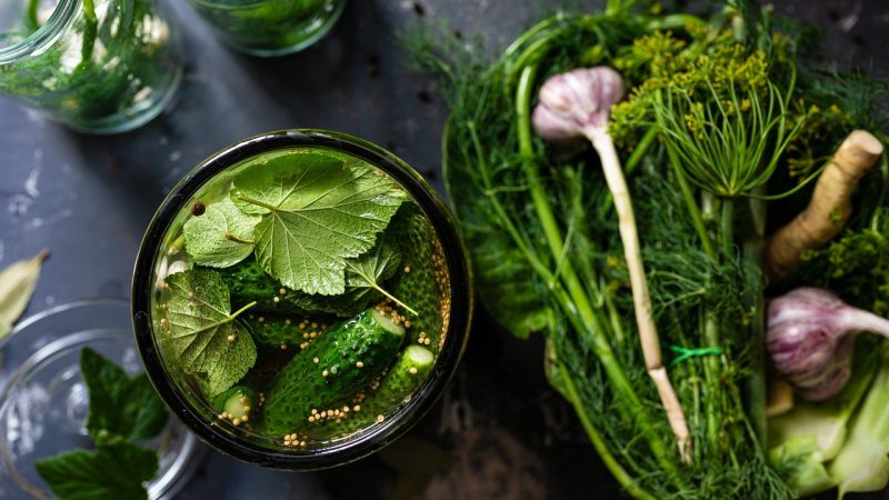 entdecken sie die verschiedenen aspekte der ernährung: von gesunden essgewohnheiten über nährstoffbedarf bis hin zu köstlichen rezepten. verbessern sie ihr wohlbefinden und ihre gesundheit durch ausgewogene ernährung.