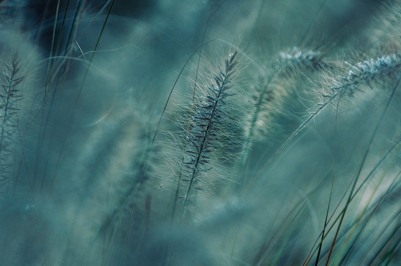 entdecken sie die faszinierende schönheit der natur. von atemberaubenden landschaften bis zu vielfältigen pflanzen- und tierarten – die natur bietet unzählige erlebnisse und abenteuer. lassen sie sich inspirieren und genießen sie die ruhe und harmonie der natürlichen welt.