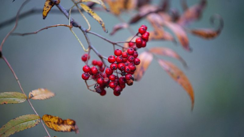 entdecken sie wichtige informationen über männergesundheitsprobleme, einschließlich prävention, diagnose und behandlung. informieren sie sich über häufige erkrankungen und erhalten sie hilfreiche tipps für ein gesundes leben.