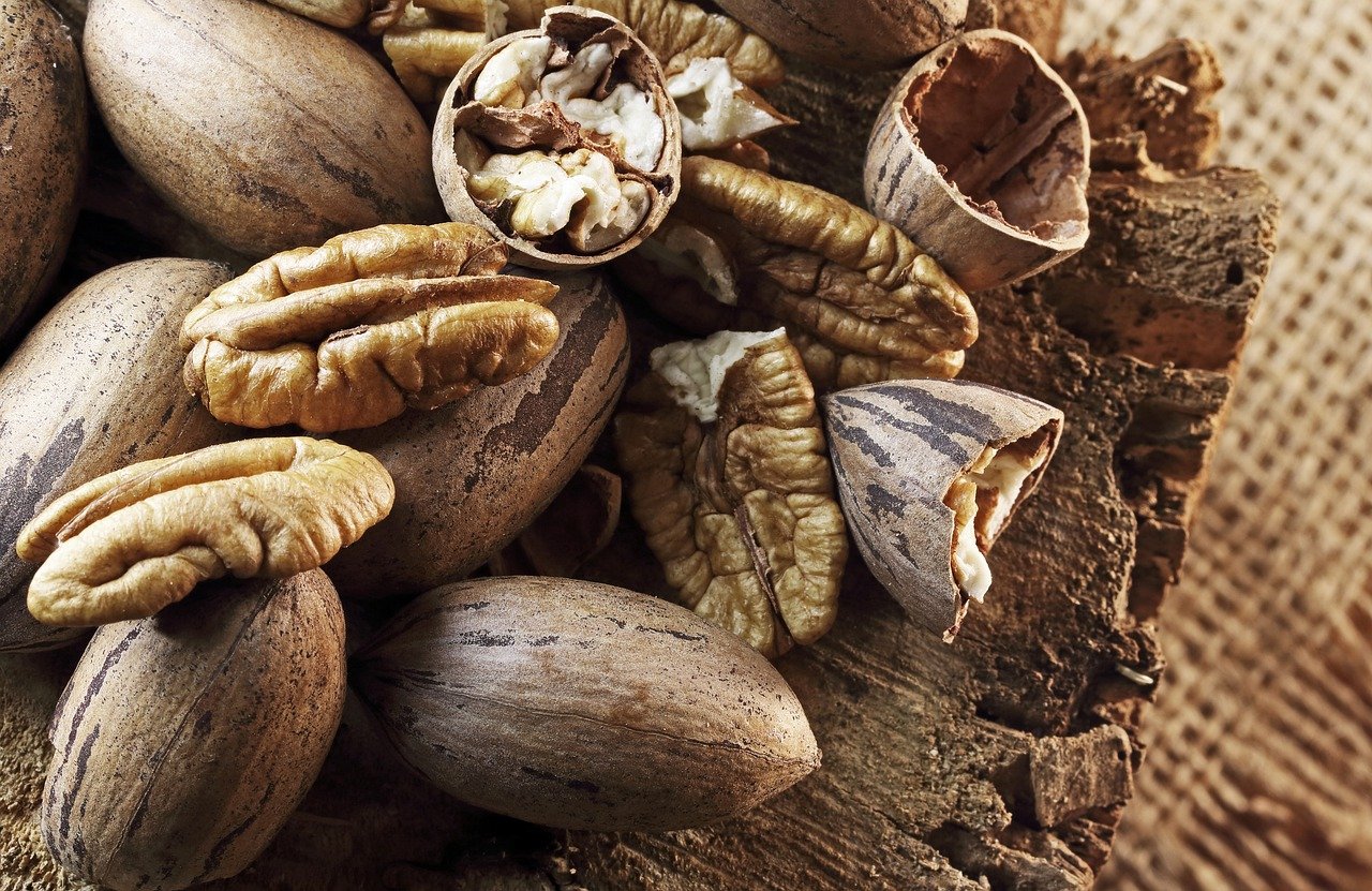 entdecken sie eine vielzahl von köstlichen snacks, die perfekt für jeden anlass sind. von herzhaften bis süßen leckereien haben wir alles, was ihr herz begehrt!