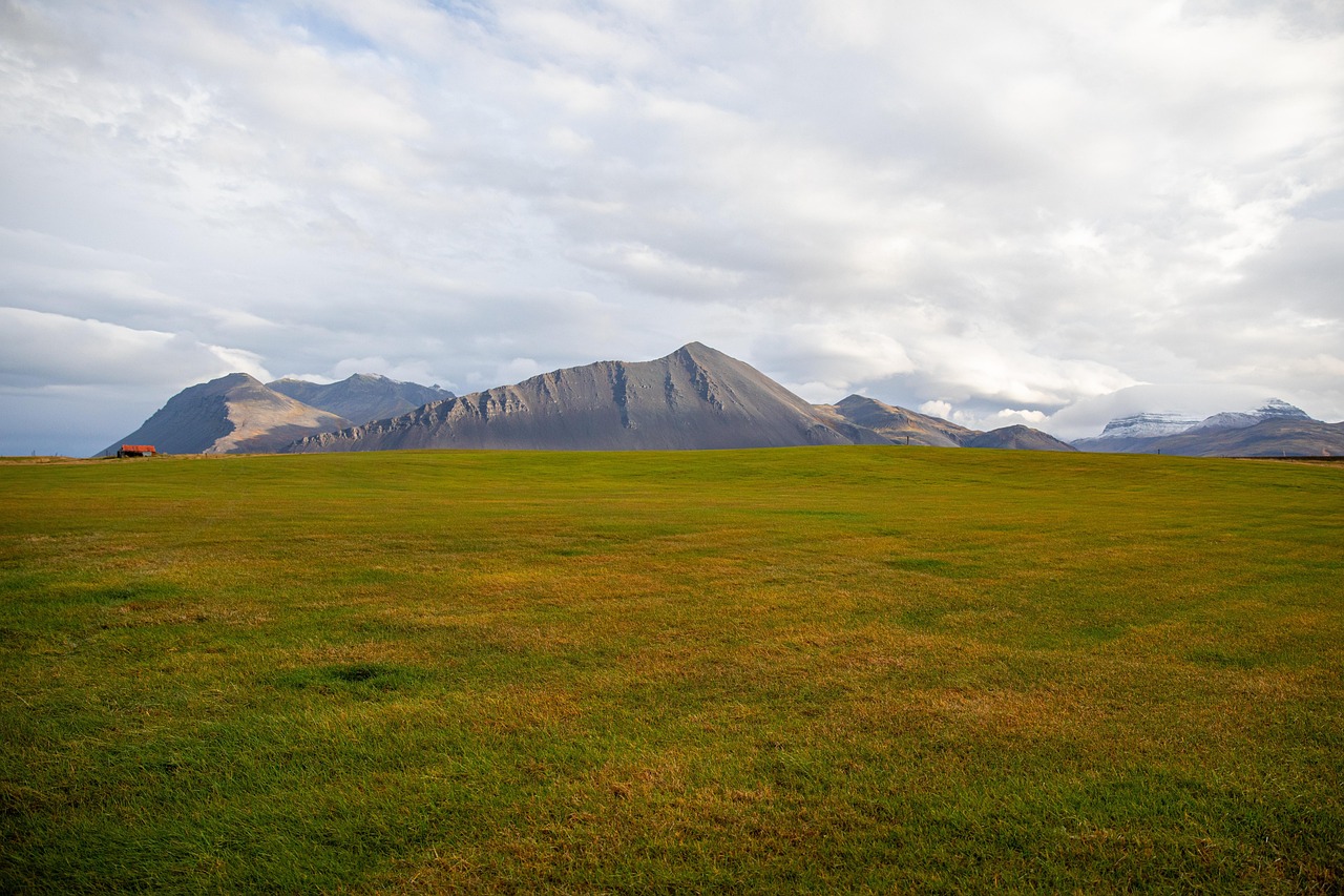 entdecken sie die atemberaubenden nationalparks deutschlands, wo unberührte natur, vielfältige tierwelt und atemberaubende landschaften auf abenteurer und naturliebhaber warten.