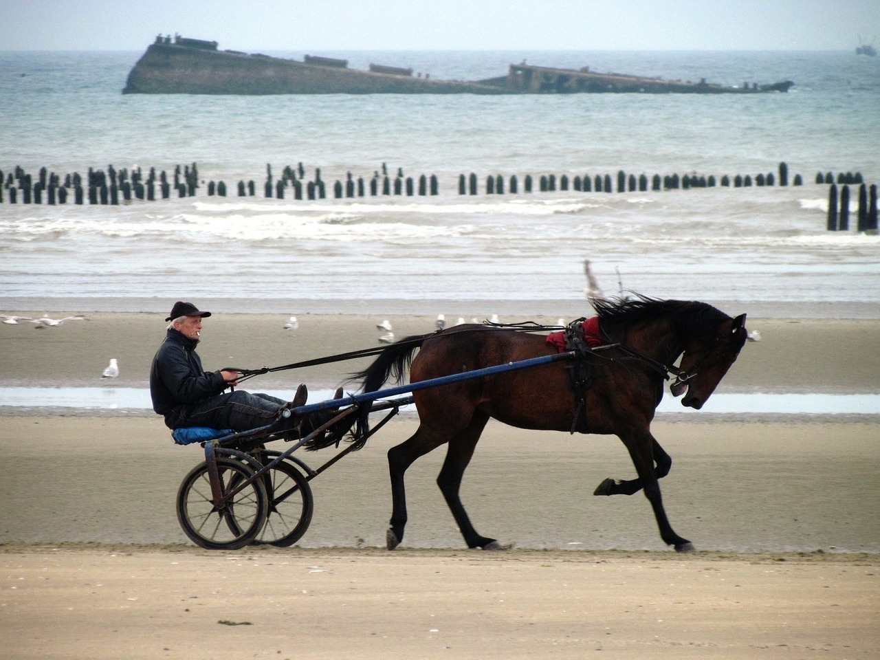 entdecken sie die schönsten strände der welt – von malerischen küsten über unberührte sandstrände bis hin zu lebhaften strandpromenaden, die perfekte auszeit am meer wartet auf sie.