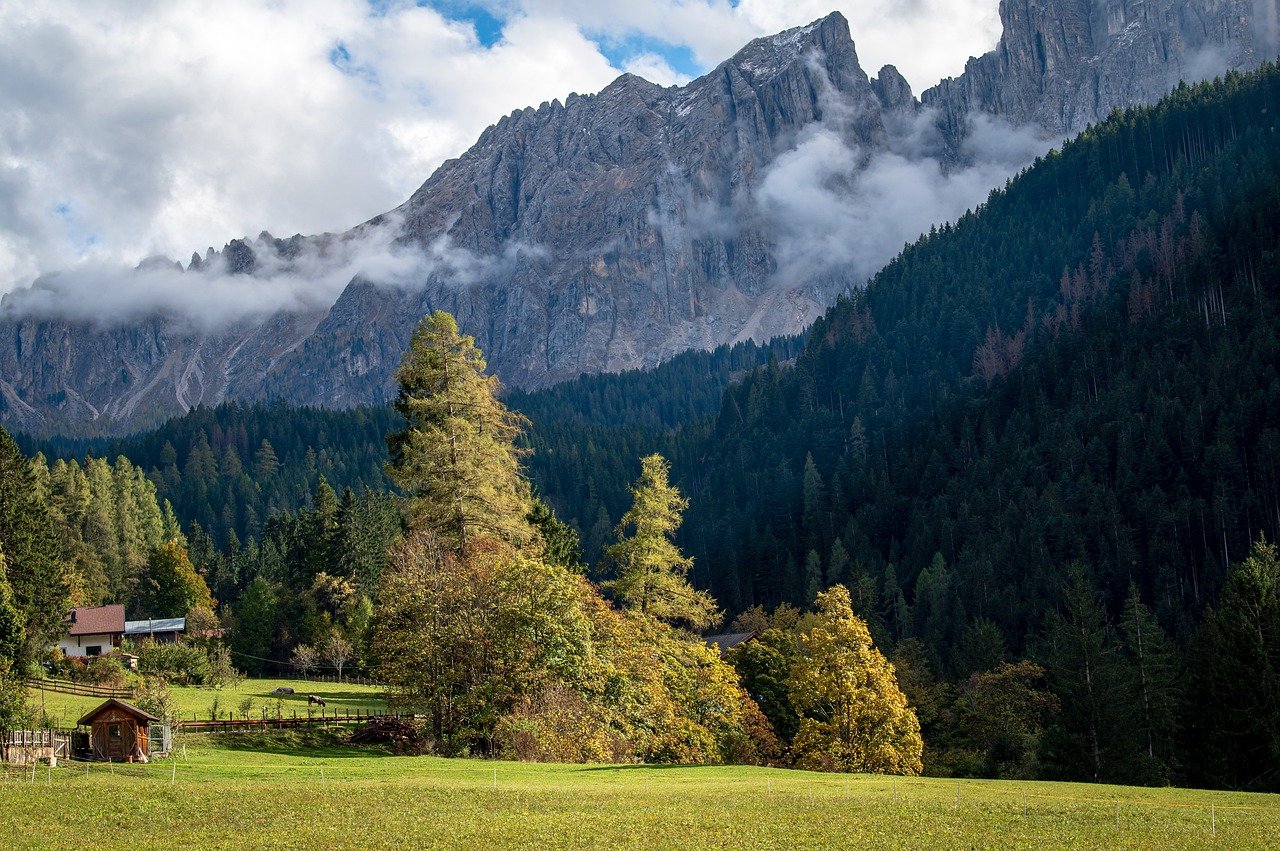 entdecken sie die faszinierende welt des kulinarischen tourismus! genießen sie authentische geschmackserlebnisse, lernen sie lokale küchen kennen und lassen sie sich von den gastronomien der welt inspirieren.