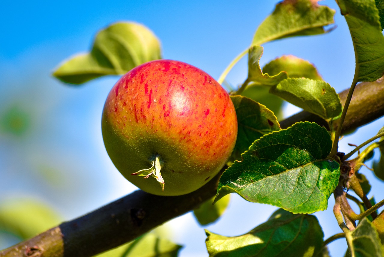 entdecken sie die vorteile der detoxifikation für körper und geist. erfahren sie, wie sie ihre entgiftung unterstützen können, um sich energiegeladen und revitalisiert zu fühlen.