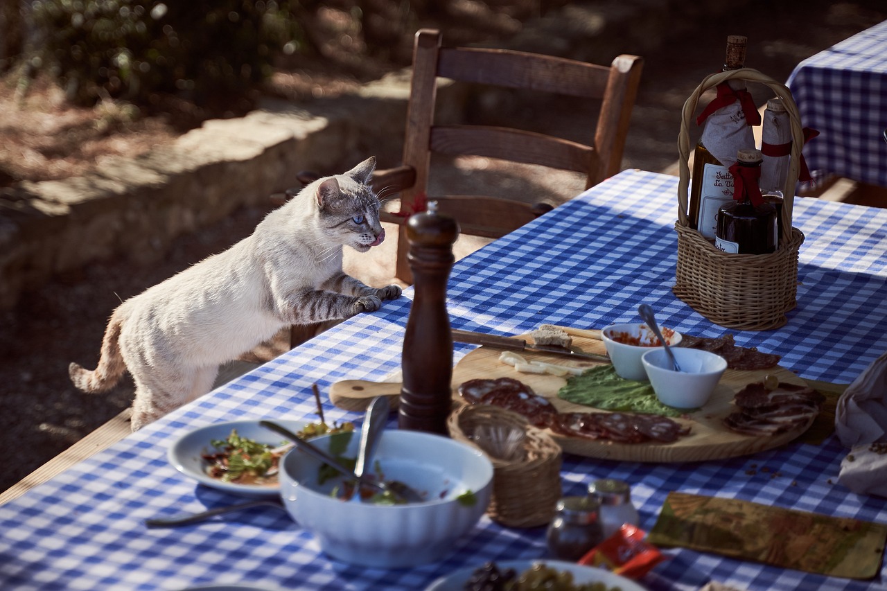 entdecken sie die besten tipps und trends zum essen gehen. von gemütlichen restaurants bis hin zu aufregenden kulinarischen erlebnissen – verwandeln sie ihre mahlzeiten in unvergessliche genussmomente.