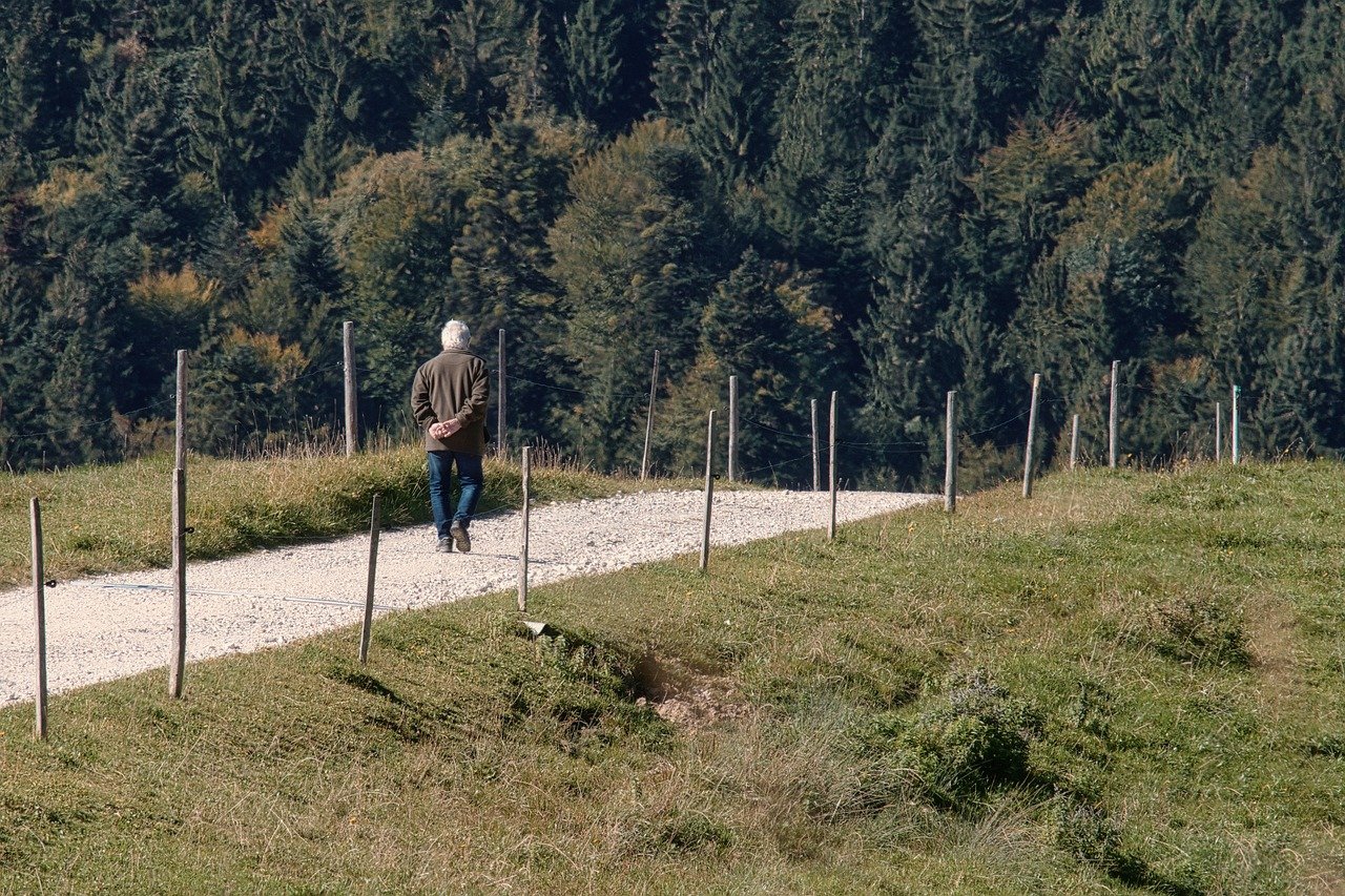 entdecken sie die ruhe und schönheit der natur bei unseren geführten waldwanderungen. genießen sie atemberaubende ausblicke, frische luft und die erholung, die nur ein spaziergang im wald bieten kann.