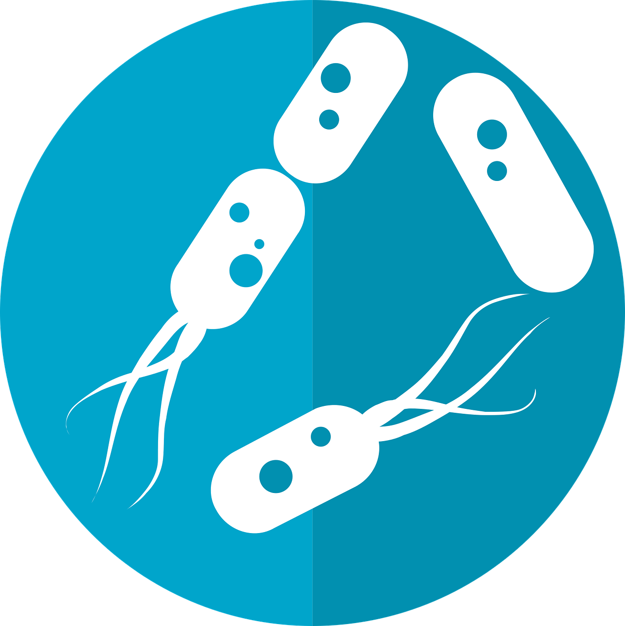 entdecken sie die besten tipps und strategien zur förderung ihrer darmgesundheit. erfahren sie, wie eine ausgewogene ernährung und gesunde lebensgewohnheiten ihr wohlbefinden steigern können.