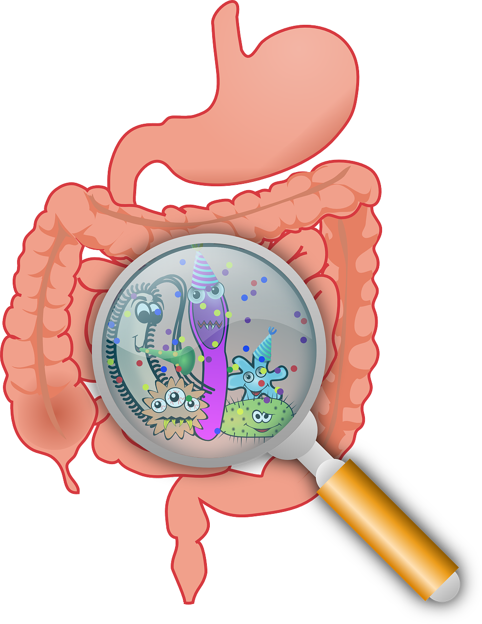 entdecken sie die geheimnisse einer optimalen darmgesundheit! erfahren sie, wie eine ausgewogene ernährung und gesunde lebensgewohnheiten ihr wohlbefinden steigern können.