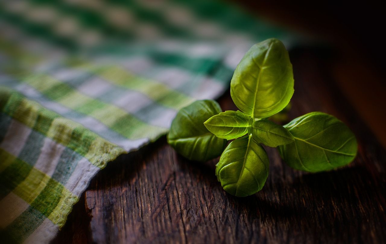 entdecken sie die faszinierende welt der kräuter! erfahren sie alles über ihre anwendungen, gesundheitlichen vorteile und rezepte, die ihr essen bereichern. tauchen sie ein in die vielfalt der aromen und düfte von frischen kräutern.