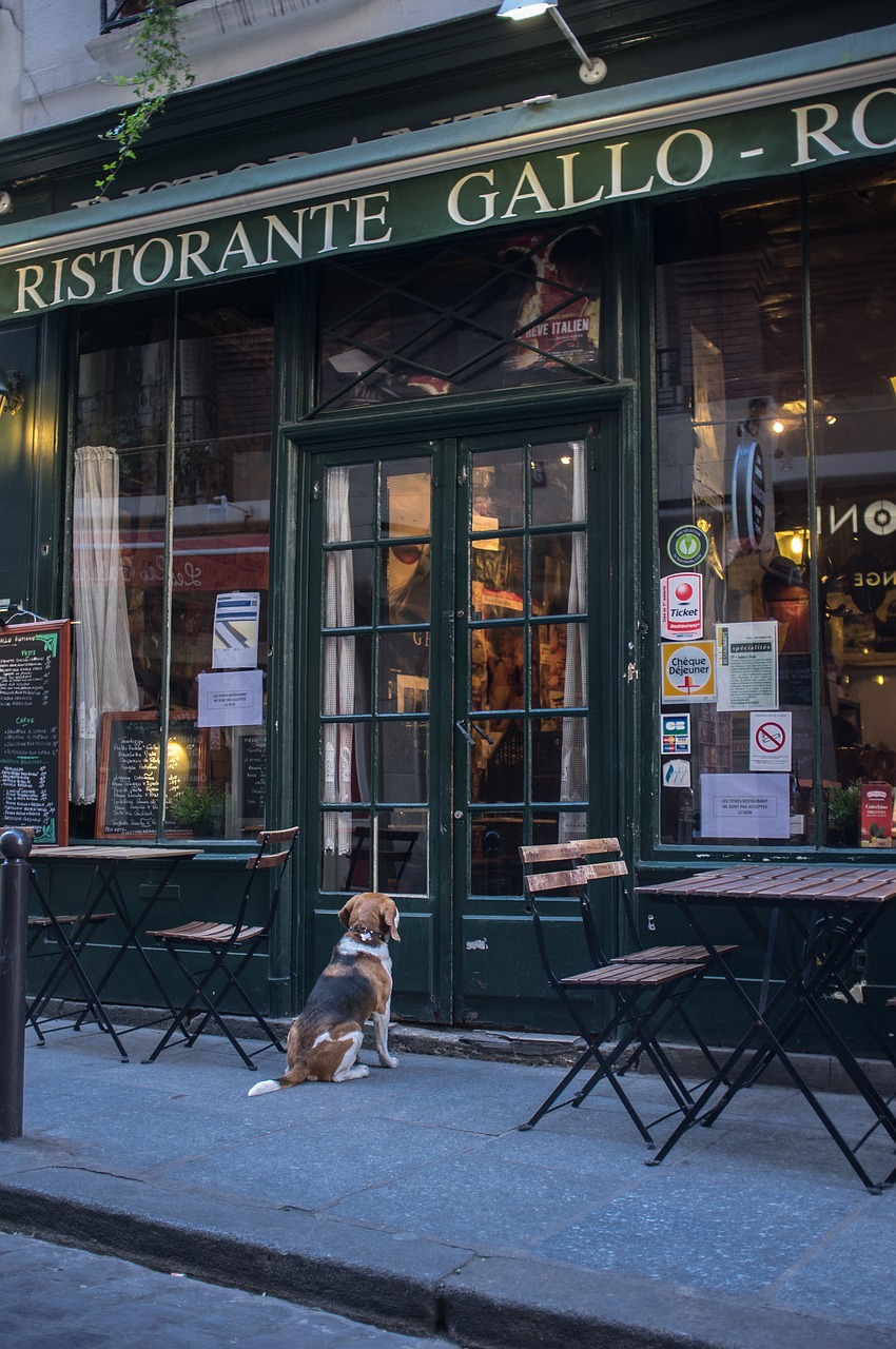 entdecken sie die besten restaurants in ihrer nähe! genießen sie köstliche gerichte, einladende atmosphären und unvergessliche kulinarische erlebnisse. reservieren sie jetzt ihren tisch!