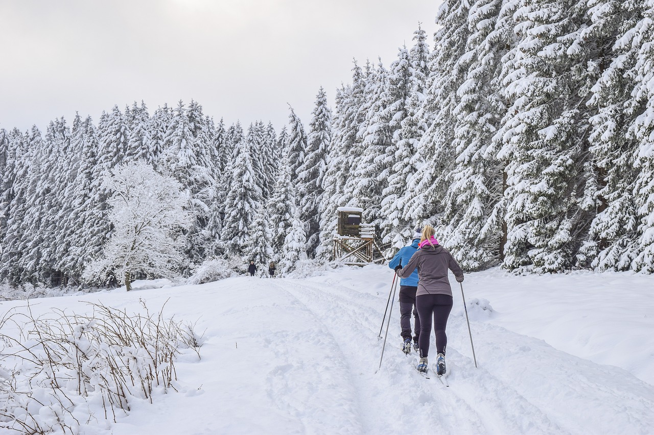 entdecken sie den perfekten skihelm für ultimativen schutz und komfort auf der piste. unsere auswahl bietet moderne designs, höchste sicherheitsstandards und innovative technologien, um ihr fahrerlebnis zu verbessern. ski sicher und stilvoll!