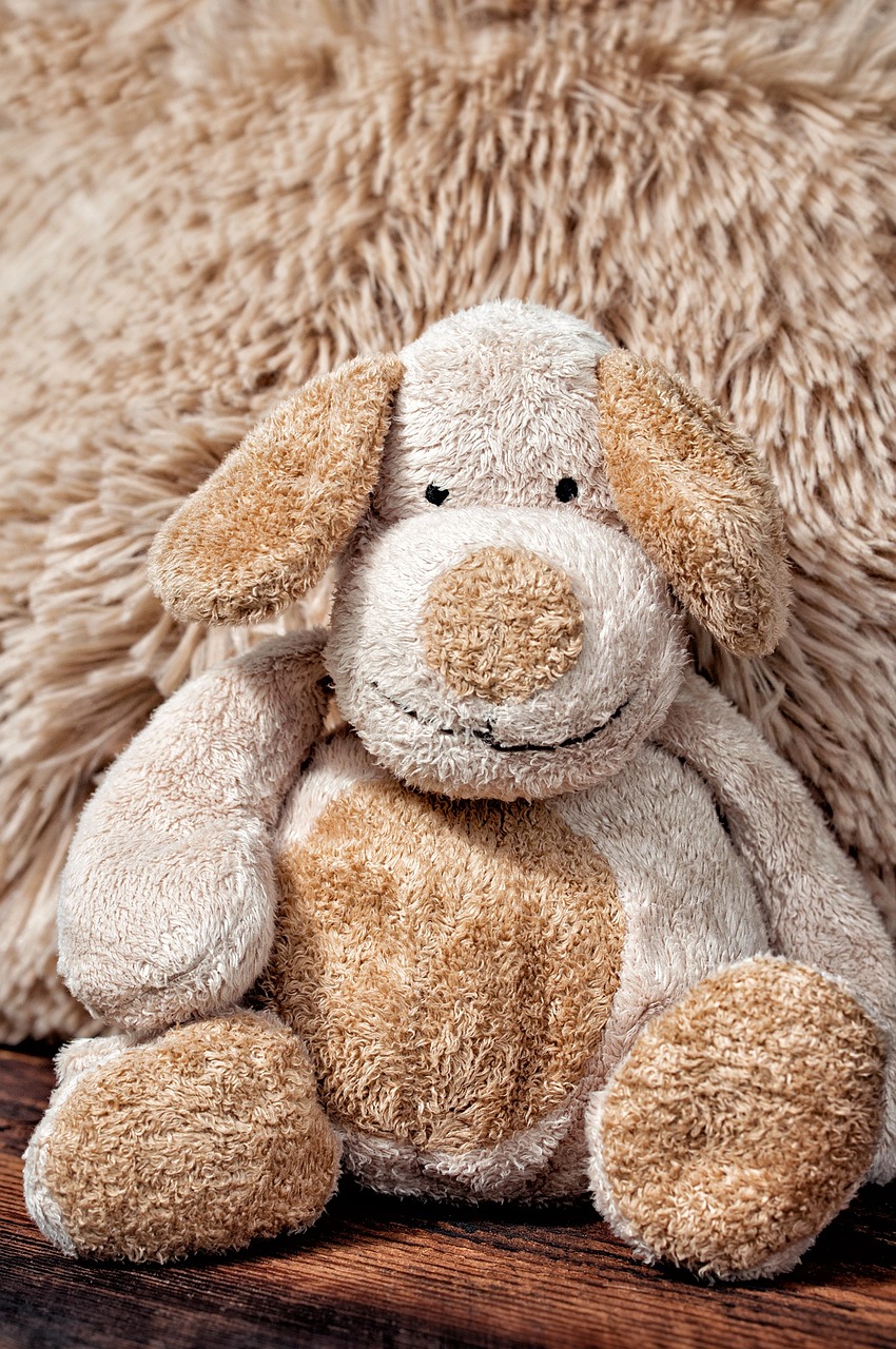 erleben sie die zauberhafte teddy experience! tauchen sie ein in eine welt voller freude und nostalgie mit unseren niedlichen teddybären, die geschichten erzählen und erinnerungen wecken. ideal für kinder und sammler gleichermaßen!