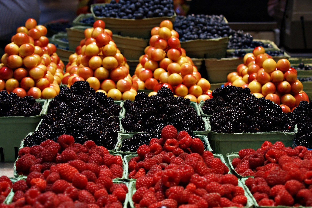 entdecken sie die welt der veganen ernährung! erfahren sie mehr über gesunde rezepte, ernährungstipps und die vorteile eines pflanzenbasierten lebensstils. schließen sie sich der bewegung für tierschutz und eine nachhaltige umwelt an.