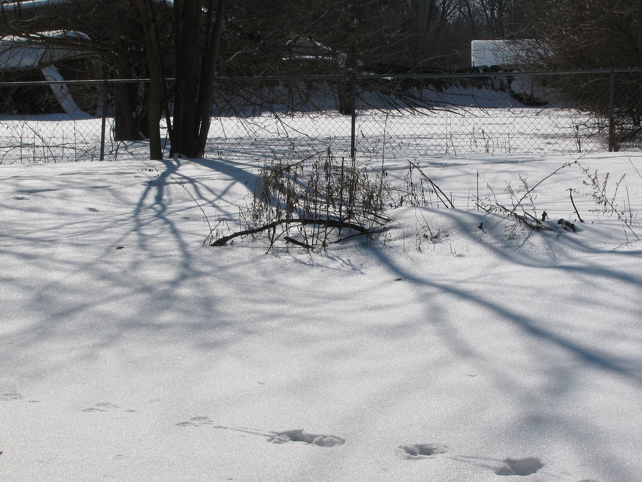 entdecken sie den ultimativen winterspaß mit einer vielzahl von aktivitäten, von schneemannbauen bis hin zu skifahren. genießen sie die kalten monate mit familie und freunden in verschneiten landschaften!