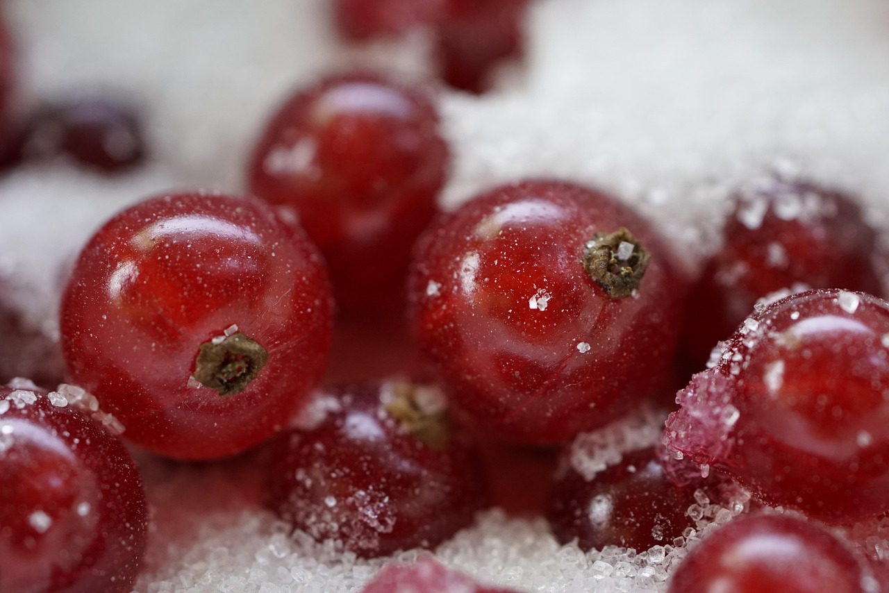 entdecken sie die vielfalt der gastronomie mit köstlichen gerichten, aufregenden rezepten und wertvollen ernährungstipps. tauchen sie ein in die welt der kulinarischen genüsse!