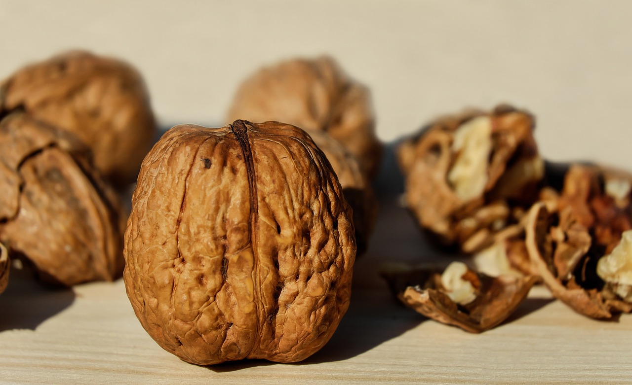 entdecken sie gesunde snacks, die nicht nur lecker sind, sondern auch ihre energie steigern und ihre fitness unterstützen. perfekt für den kleinen hunger zwischendurch oder als nahrhafte ergänzung zu ihren mahlzeiten.