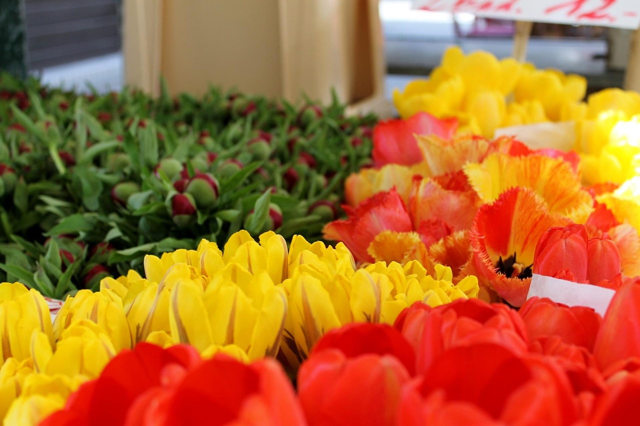 entdecken sie den naschmarkt – wiens berühmter markt für frische lebensmittel, exotische gewürze und authentische delikatessen. genießen sie die lebendige atmosphäre, probieren sie lokale spezialitäten und erleben sie das kulturelle flair der stadt.