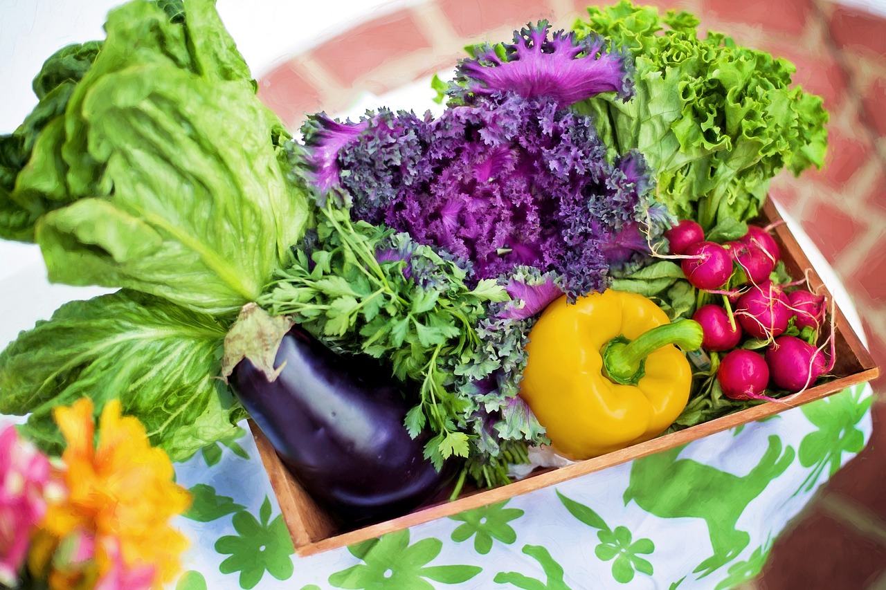 entdecken sie die grundlagen der ernährung, lernen sie, wie sie ihre gesundheit durch ausgewogene mahlzeiten verbessern können, und erhalten sie tipps für einen gesunden lebensstil.