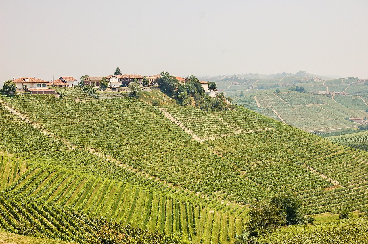 entdecken sie die malerische region piemont in italien, bekannt für ihre atemberaubenden landschaften, köstlichen weine, renommierte trüffel und reiche kultur. besuchen sie historische städte wie turin und genießen sie die kulinarischen highlights dieser einzigartigen region.