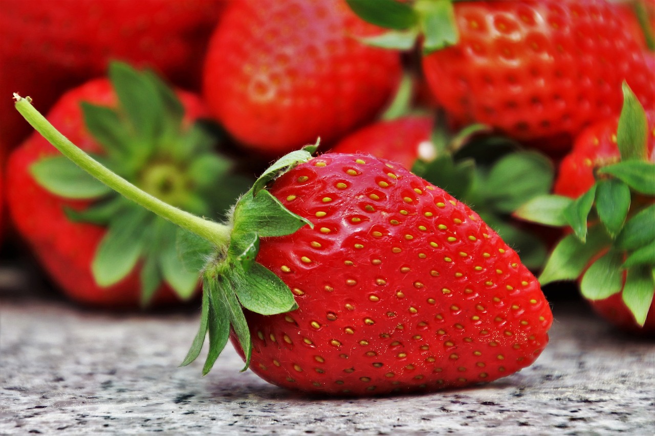 entdecken sie die köstliche welt der saisonalen lebensmittel! genießen sie frische und gesunde zutaten, die im einklang mit der natur stehen. erfahren sie, wie saisonale ernährung nicht nur ihren gaumen verwöhnt, sondern auch umweltbewusste entscheidungen fördert.