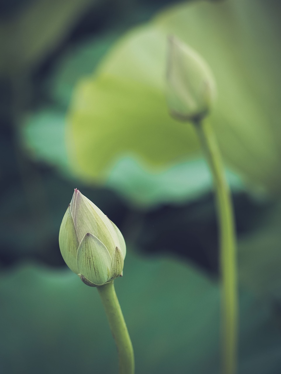 entdecken sie transformative spirituelle einsichten und erfahrungen, die ihr bewusstsein erweitern und ihr inneres selbst erwecken. erforschen sie die tiefgreifenden weisheiten und praktiken, die zu einem erfüllten leben führen.