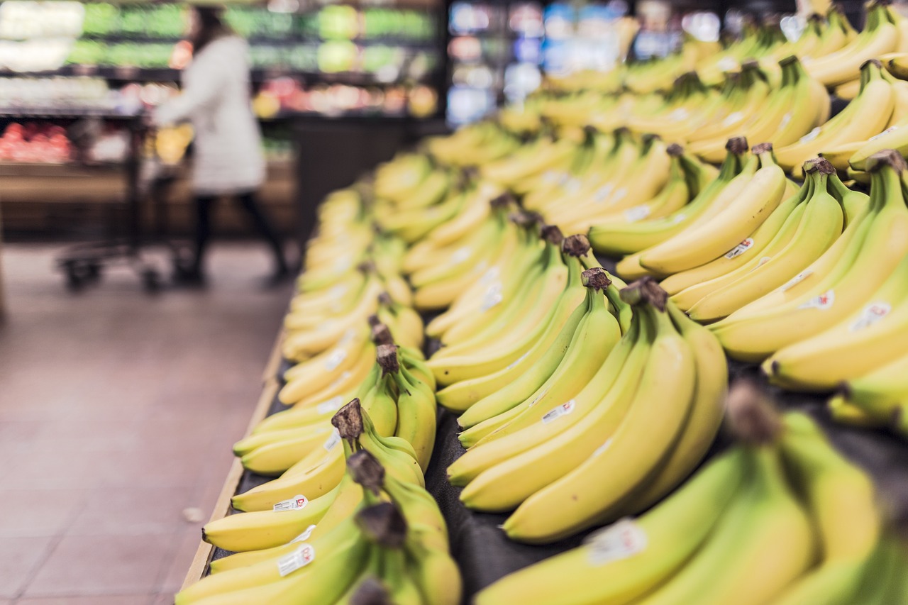 entdecken sie nachhaltiges shopping – umweltfreundliche produkte, ethische marken und bewusste kaufentscheidungen für einen verantwortungsvollen lebensstil. handeln sie nachhaltig und unterstützen sie die zukunft unseres planeten.