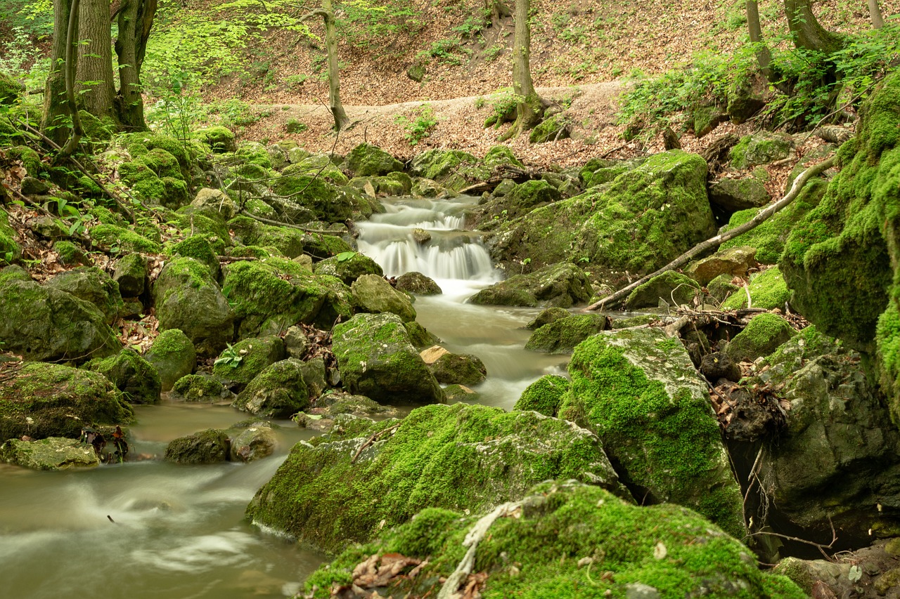 entdecken sie die besten touren mit uns! ob stadtbesichtigungen, naturabenteuer oder kulturelle erlebnisse - unsere geführten touren bieten unvergessliche momente. buchen sie noch heute und erkunden sie faszinierende orte auf einzigartige weise!