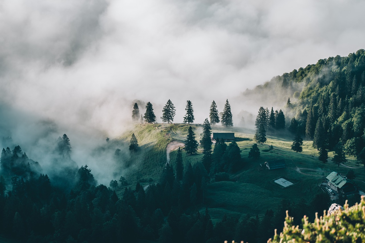 entdecken sie die welt des reisens! gehen sie auf abenteuer, erleben sie neue kulturen und genießen sie unvergessliche momente. egal, ob sie an urlaubsideen, reisetipps oder inspirierenden geschichten interessiert sind, hier finden sie alles, was sie für ihre nächste reise benötigen.