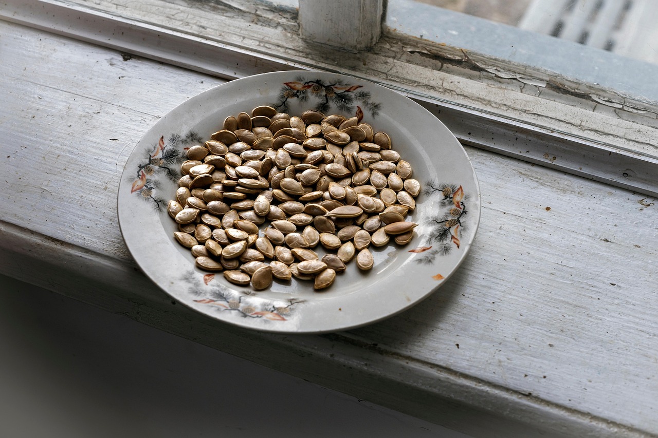 entdecken sie die besten vegetarischen superfoods, die ihre gesundheit fördern und ihren speiseplan bereichern. von quinoa bis chiasamen – erfahren sie, wie diese nährstoffreichen lebensmittel ihr wohlbefinden steigern können.