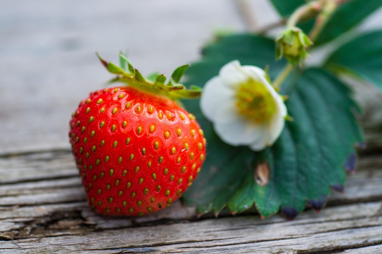 entdecken sie die wichtigsten nährstoffe für ihre gesundheit! erfahren sie, wie vitamine, mineralien und andere essentielle nährstoffe ihren körper unterstützen und ihr wohlbefinden steigern können. optimieren sie ihre ernährung mit diesen wertvollen informationen.