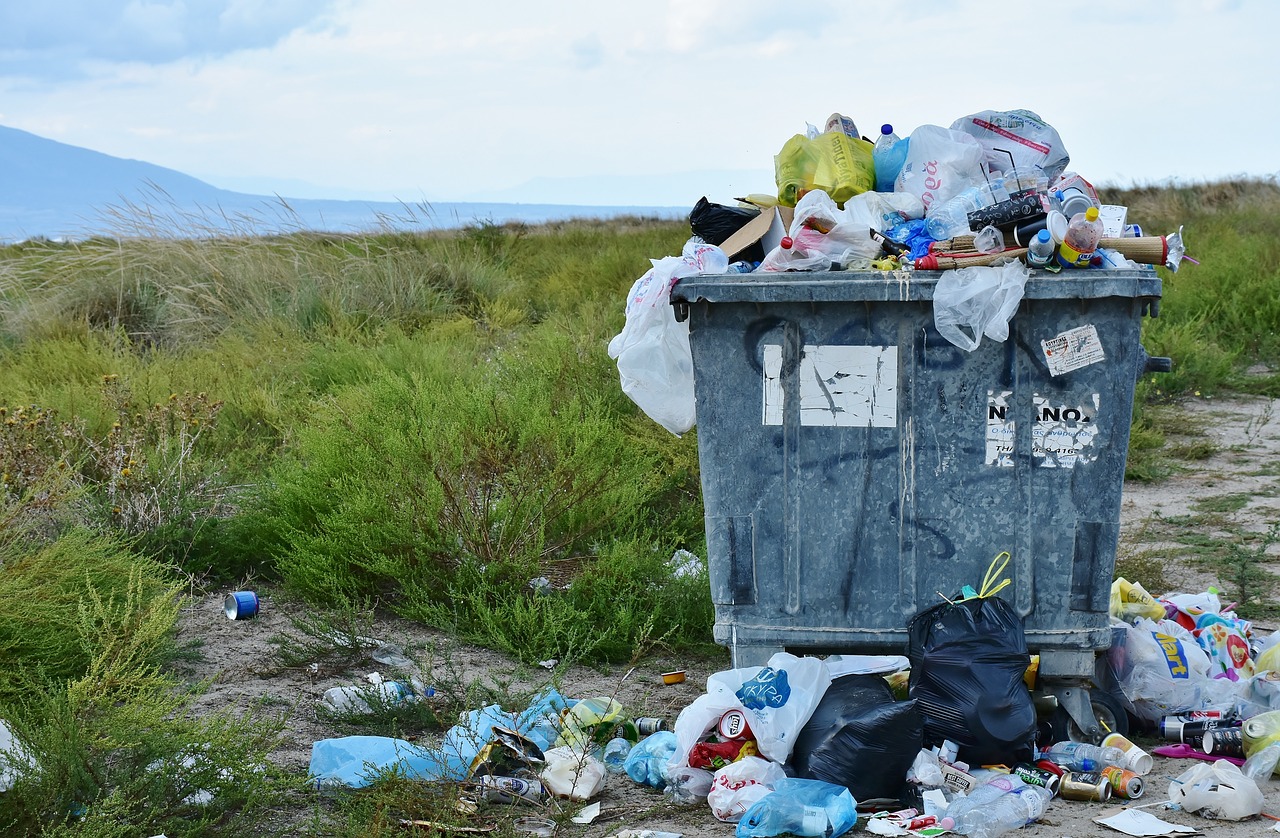 entdecken sie die ursachen und lösungen für lebensmittelverschwendung. erfahren sie, wie sie ihren ökologischen fußabdruck reduzieren können, indem sie bewusster mit lebensmitteln umgehen und nachhaltige praktiken in ihrem alltag integrieren.