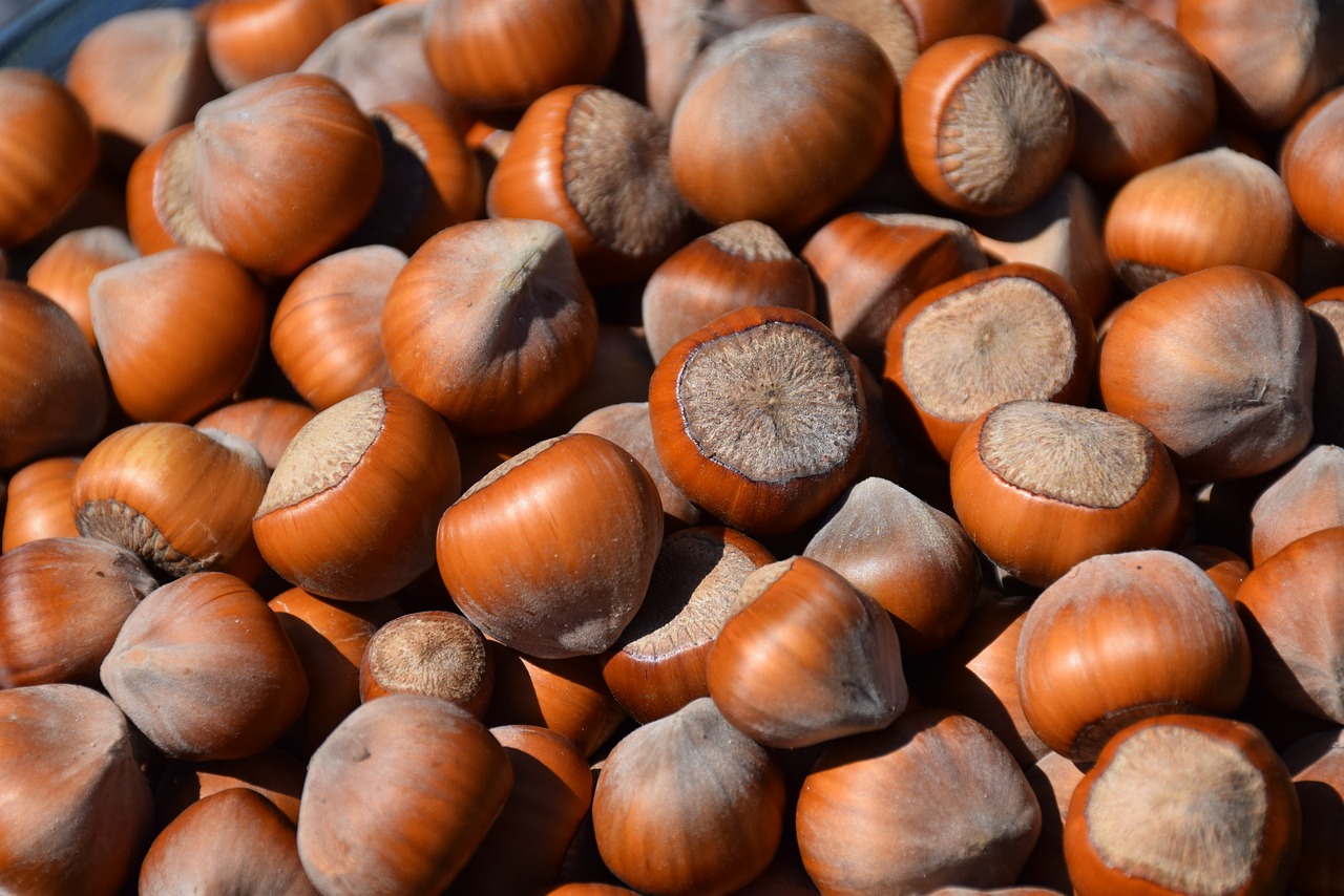 entdecken sie die wichtigsten nährstoffe für ihre gesundheit! unsere umfassenden informationen zu makro- und mikronährstoffen helfen ihnen, eine ausgewogene ernährung zu gestalten und ihr wohlbefinden zu steigern.