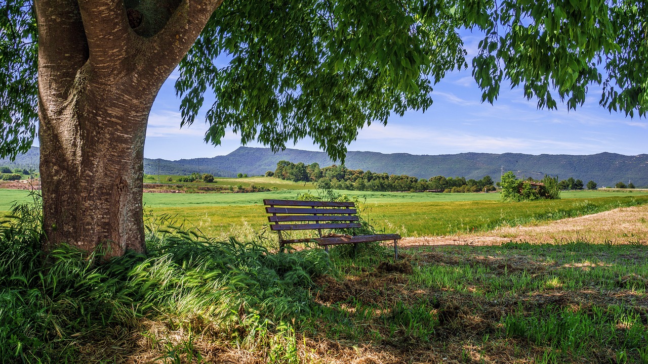 entdecken sie die schönheit und vielfalt ländlicher gebiete: von atemberaubenden landschaften über traditionelle dörfer bis hin zu einzigartigen kulturellen erlebnissen. perfekt für naturliebhaber und abenteurer!