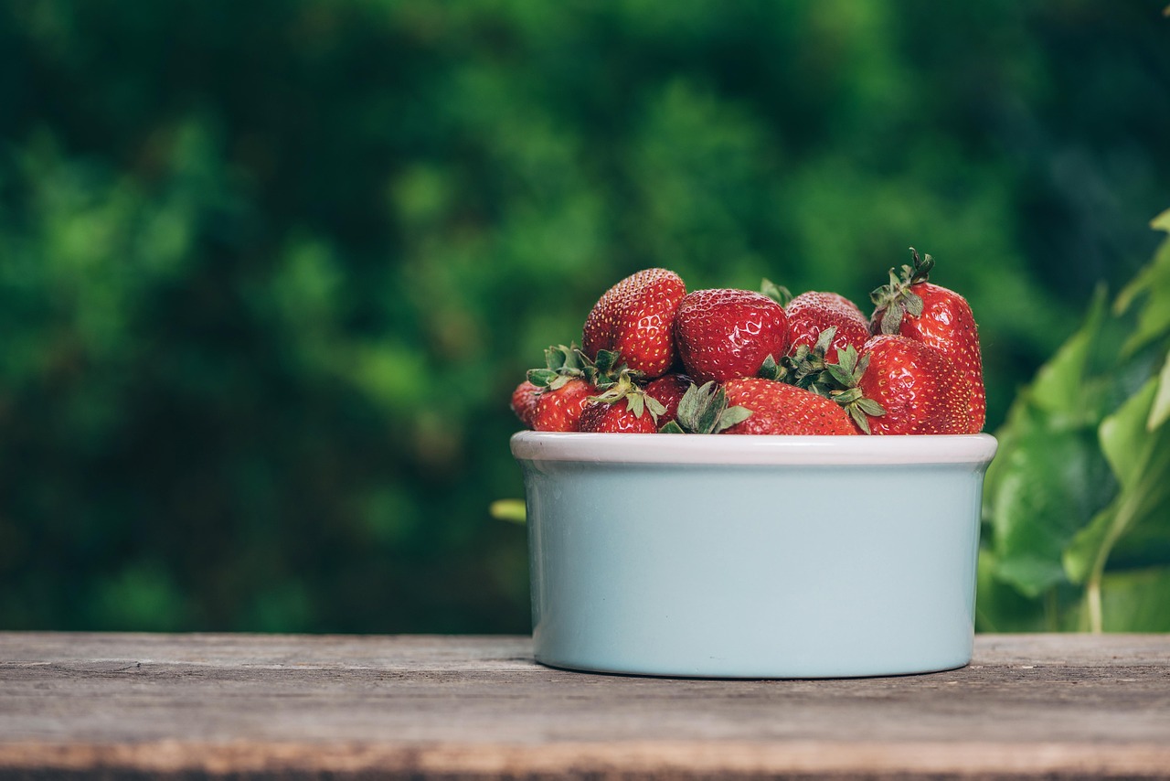 entdecken sie köstliche snacks für jeden anlass! von herzhaften knabbereien bis hin zu süßen leckereien – unsere auswahl wird ihre geschmacksknospen begeistern. ideal für partys, filmeabende oder einfach als kleiner genuss zwischendurch.