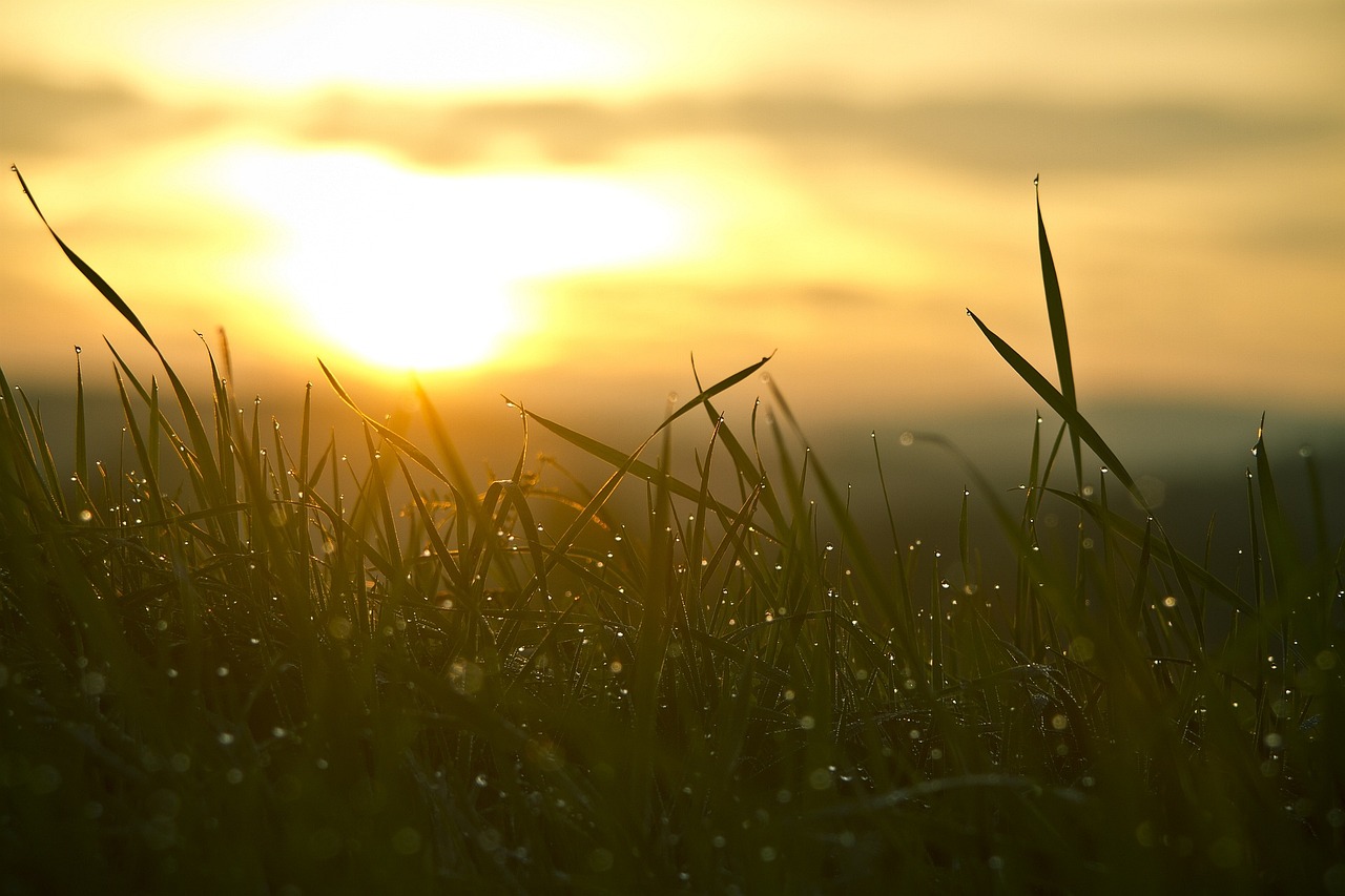 entdecken sie die vorteile des sonnenlichts für ihr wohlbefinden und ihre gesundheit. erfahren sie, wie sonnenstrahlen ihre stimmung heben, energie spenden und ihre vitamin-d-produktion fördern können. nutzen sie die kraft der sonne verantwortungsbewusst und genießen sie die positiven effekte auf körper und geist.