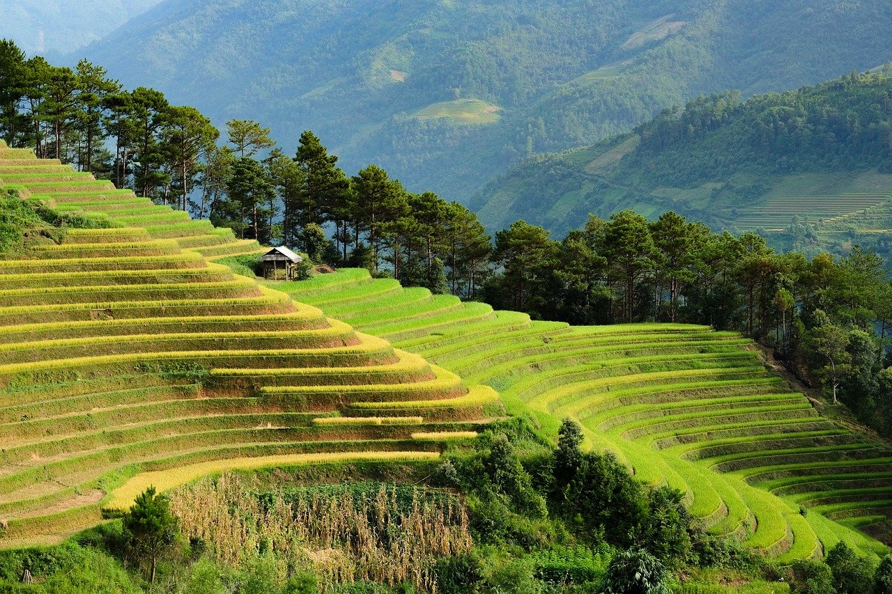 entdecken sie nützliche vietnam-reise-tipps, um ihre reise unvergesslich zu machen. von den besten sehenswürdigkeiten bis zu kulturellen ratschlägen – erfahren sie alles, was sie für ein gelungenes abenteuer in vietnam benötigen.