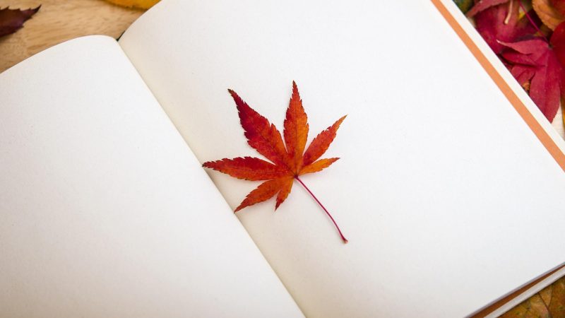 führen sie ihr persönliches ernährungstagebuch, um ihre essgewohnheiten zu verfolgen, gesunde entscheidungen zu treffen und ihre ernährung zu optimieren. entdecken sie tipps und rezepte für eine ausgewogene ernährung.
