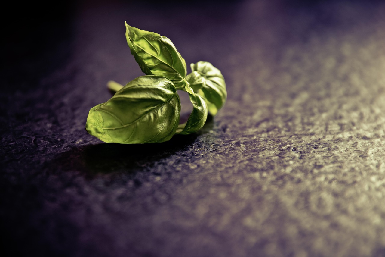 entdecken sie die faszinierende welt der kulinarischen genüsse! lassen sie sich von abwechslungsreichen rezepten, exquisiten zutaten und inspirierenden tipps zu einem unvergesslichen kocherlebnis leiten.